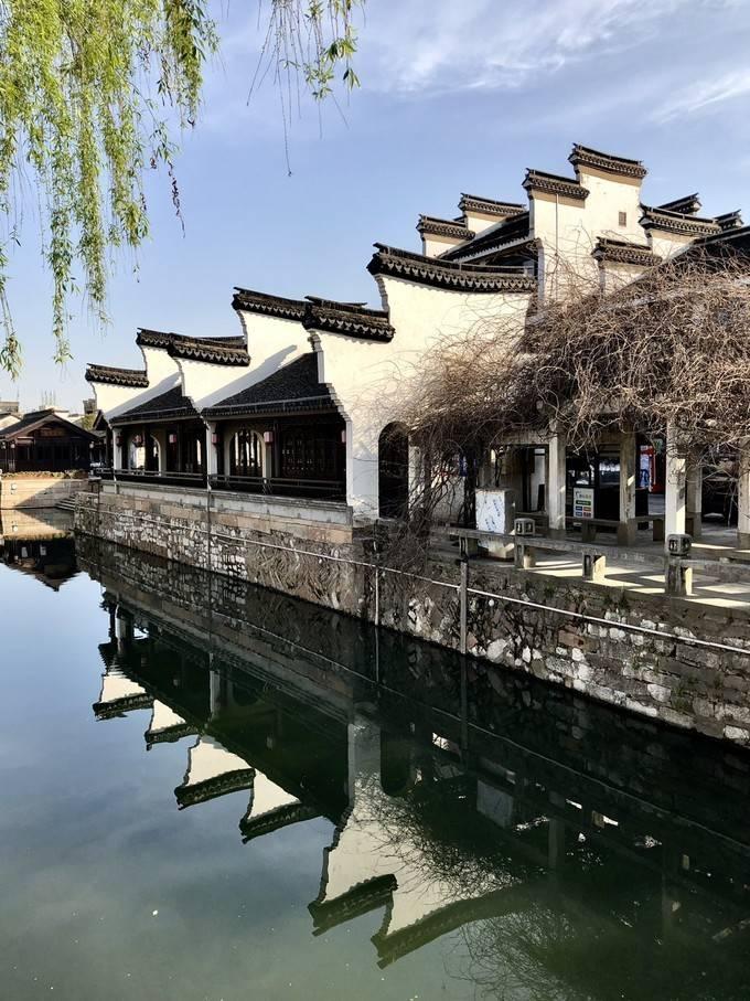 小长颈鹿逃离